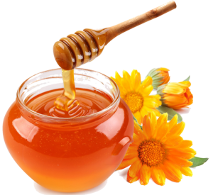 Honey PNG-11575